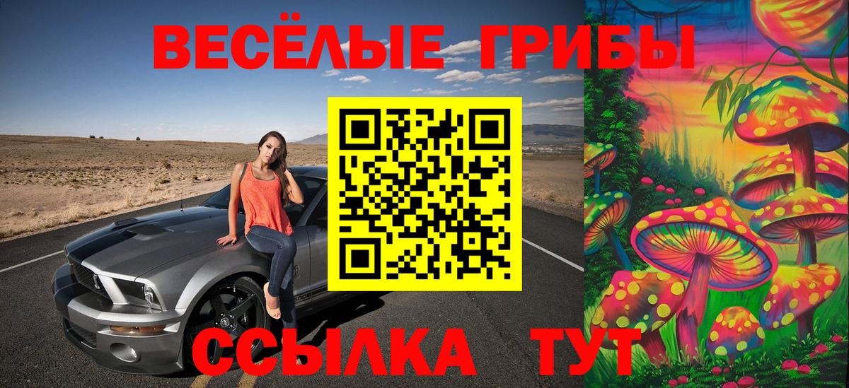 Старая Купавна  Псилоцибиновые грибы Cubensis  Вход с VPN 